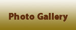 Trophy photo gallery